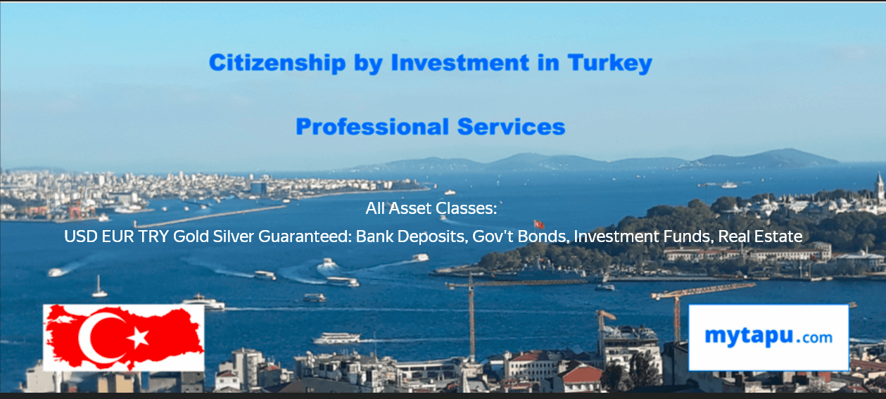 Citizenship Investment Program in Turkiye: Bank Deposits, Government Bonds, Investment Funds, Real Estate, & Direct Business Investment